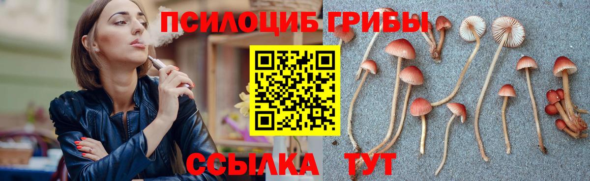 Галлюциногенные грибы Psilocybe  Псилоцибиновые грибы GOLDEN TEACHER  Екатеринбург  наркошоп  Вход с VPN 