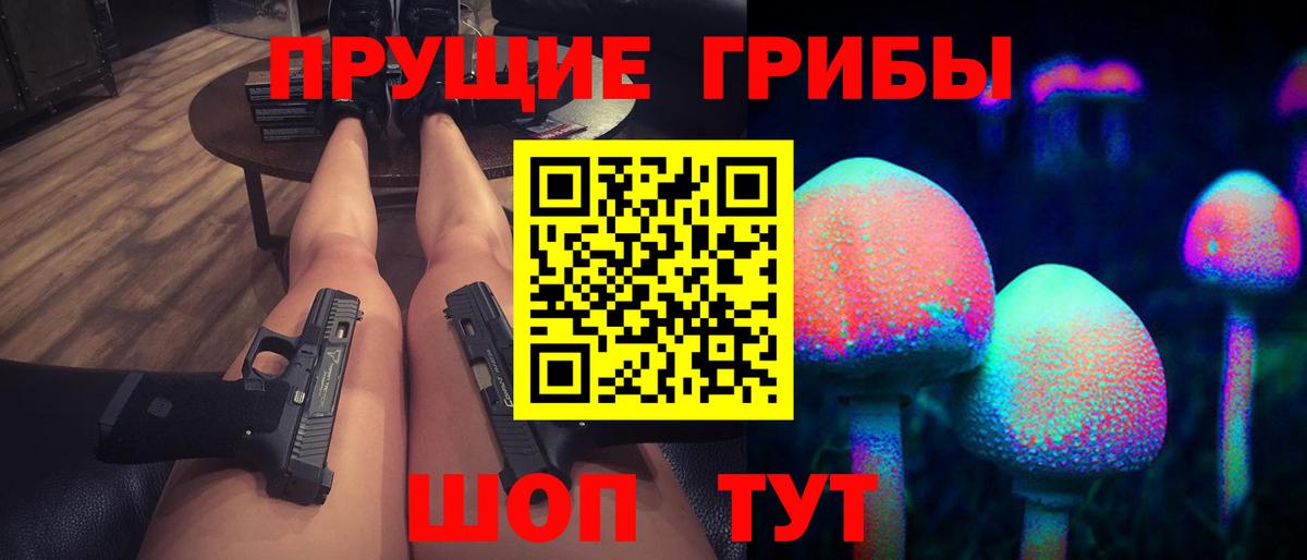 Псилоцибиновые грибы Psilocybe Екатеринбург